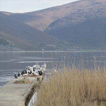 Bitola to Prespa Lake