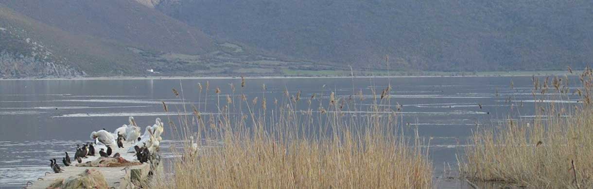 tours/prespa-lake-birds-big.jpg